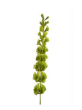 Artificial Bells of Ireland Foliage by Evergreen Flowers Ireland