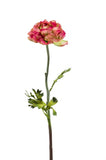 Artificial Ranunculus Flower by Evergreen Flowers, Ireland, Timeless Beauty, Faux Flowers, Silk Flowers, Artificial Floral Displays