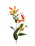 Faux Gloriosa Flower by Evergreen Flowers, Ireland, Timeless Beauty, Faux Flowers, Artificial Flowers, Silk Flowers