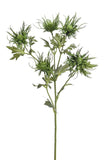 Artificial Eryngium Stem by Evergreen Flowers, Ireland, Timeless Beauty, Faux Flowers, Silk Flowers, Floral Designs