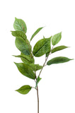 Faux Foliage, Artificial Cherry Leaves by Evergreen Flowers, Ireland, Timeless Beauty