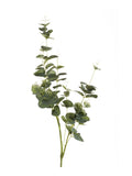 Faux Silver Dollar Eucalyptus Foliage by Evergreen Flowers, Ireland, Timeless Beauty, Faux Foliage, Artificial Foliage