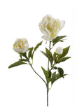 Faux Peony Stem by Evergreen Flowers, Ireland, Timeless Beauty, Faux Flowers, Silk Flowers, Artificial Flower Displays