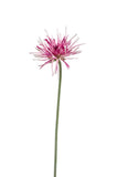 Artificial Spider Gerbera by Evergreen Flowers, Ireland, Timeless Beauty, Faux Flowers, Silk Flowers, Artificial Flowers, Artificial Floral design