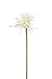 Artificial Spider Gerbera by Evergreen Flowers, Ireland, Timeless Beauty, Faux Flowers, Silk Flowers, Artificial Flowers, Artificial Floral design