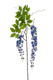 Wistera