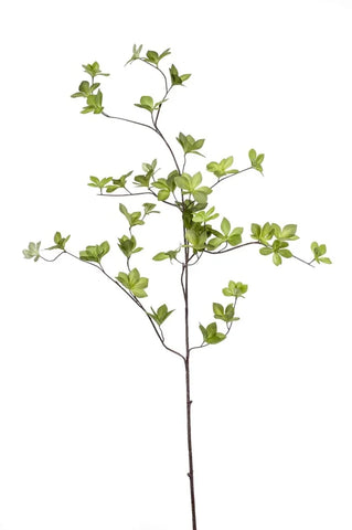 Artificial Cornus Branch by Evergreen Flowers Ireland 