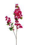 Bougainvillea Branch