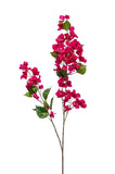 Bougainvillea Branch