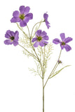 Cosmos