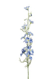 Delphinium