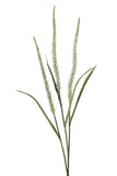 Grass Flower