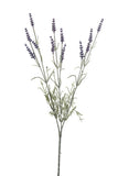 Lavender Spray