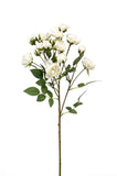 Rose Spray