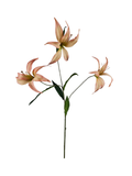 Orange Lily Spray