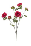 Ranunculus Flowering Spray