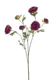 Ranunculus Flowering Spray