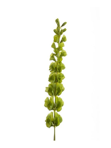 Artificial Bells of Ireland Foliage by Evergreen Flowers Ireland 