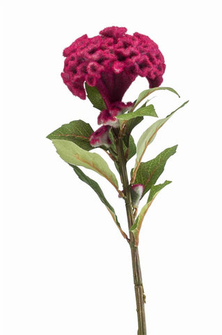 Faux Celosia Flower  by Evergreen Flowers Ireland, Timeless Beauty 