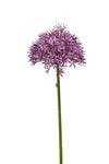 Artificial Flower Allium Stem Evergreen Flowers Ireland 