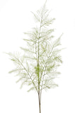 Artificial Asparagus Fern by Evergreen Flowers Ireland 