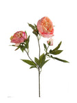 Faux Peony Stem by Evergreen Flowers, Ireland, Timeless Beauty, Faux Flowers, Silk Flowers, Artificial Flower Displays 