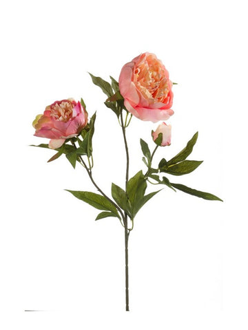 Faux Peony Stem by Evergreen Flowers, Ireland, Timeless Beauty, Faux Flowers, Silk Flowers, Artificial Flower Displays 