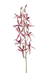 Faux Brassia Orchid by Evergreen Flowers Ireland, Timeless Beauty 