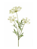 Faux Dill Stem by Evergreen Flowers , Ireland, Timeless Beauty, Silk Flowers, Artificial Flowers, Faux Floral Decor