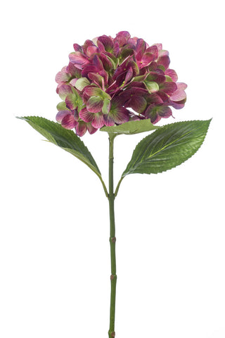 Artificial Hydrangea Stem by Evergreen Flowers, Ireland, Timeless Beauty, Faux Flowers, Silk Flowers, Artificial Floral Designs 