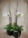 Faux Orchid Display by Evergreen Flowers, Ireland, Timeless Beauty, Faux Flowers, Silk Flowers, Real Touch Flowers, Artificial Floral Design 