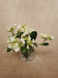 Artificial Hydrangea Stem by Evergreen Flowers, Ireland, Timeless Beauty, Faux Flowers, Silk Flowers, Artificial Floral Designs 