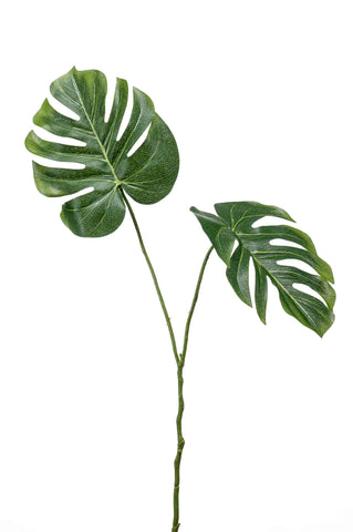 Artificial Monstera Leaf Foliage by Evergreen Flowers, Ireland, Timeless Beauty, Faux Foliage, Artificial Foliage