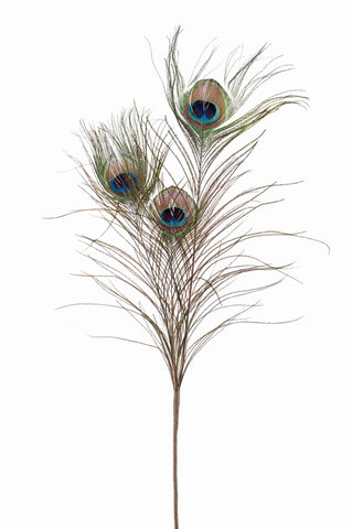 Artificial Peacock Stem by Evergreen Flowers, Ireland, Timeless Beauty