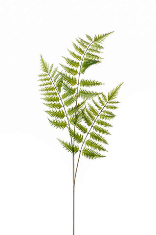 Artificia Fern Foliage by Evergreen Flowers, Ireland, Timeless Beauty, Faux Foliage, Artificial Foliage 