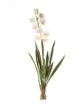 Artificial Orchid Stem by Evergreen Flowers, Ireland, Timeless Beauty, Real Touch Flowers, Faux Flowers, Silk Flowers, Artificial Floral Decor 